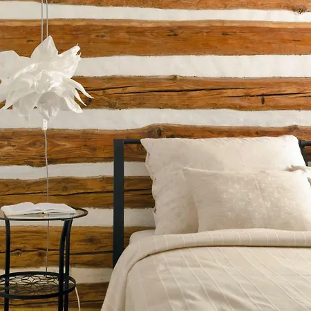 Homutuv Statek Kokorin