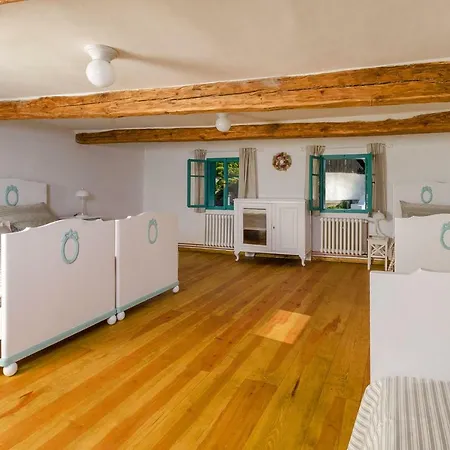 Homutuv Statek Kokorin